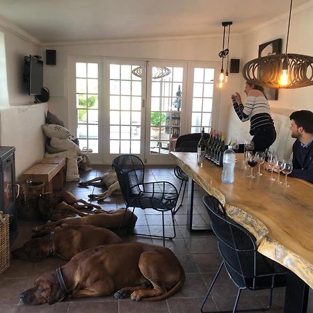 Hotel Tempel Wines Paarl Zewnętrze zdjęcie