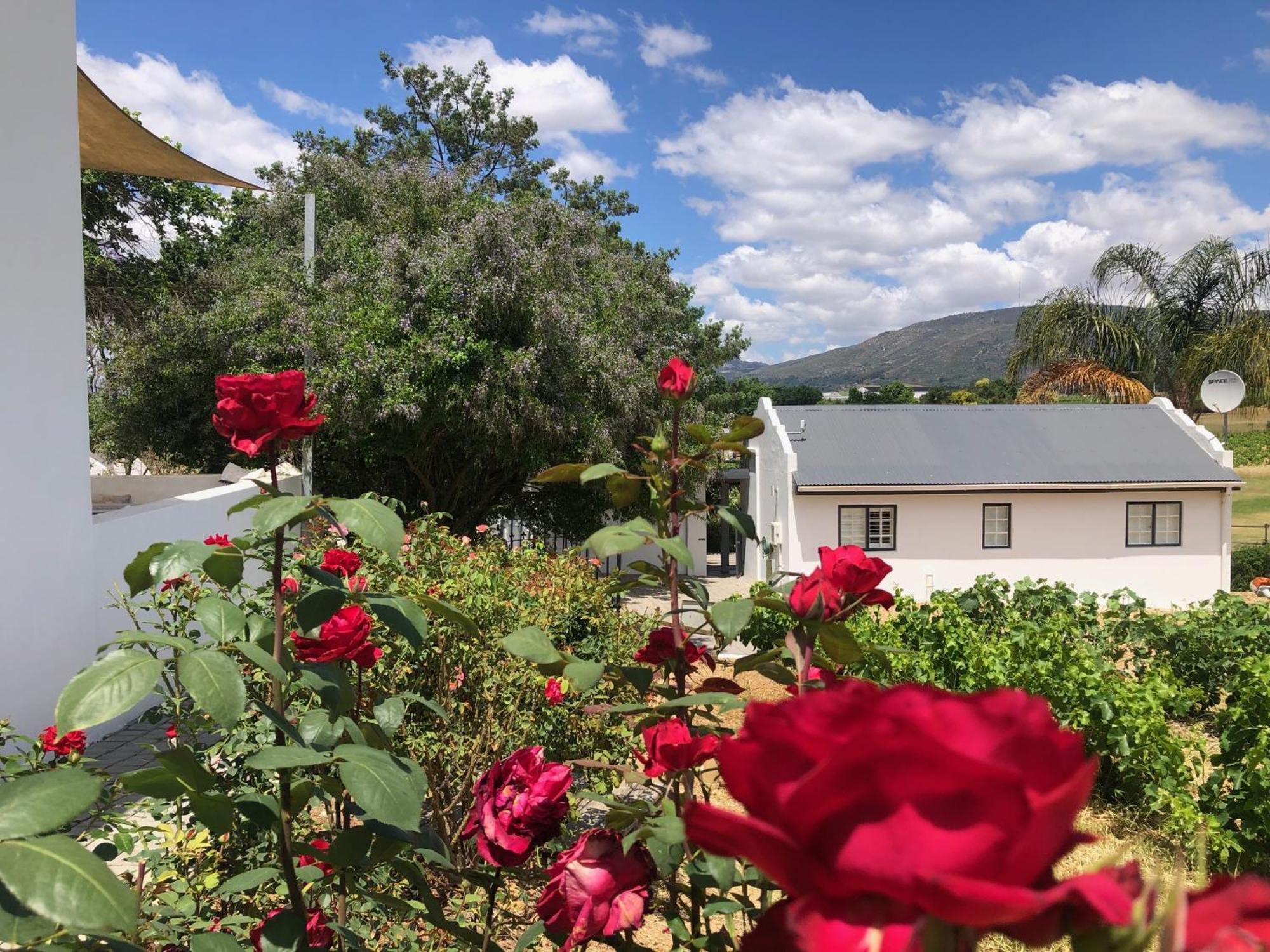 Hotel Tempel Wines Paarl Zewnętrze zdjęcie