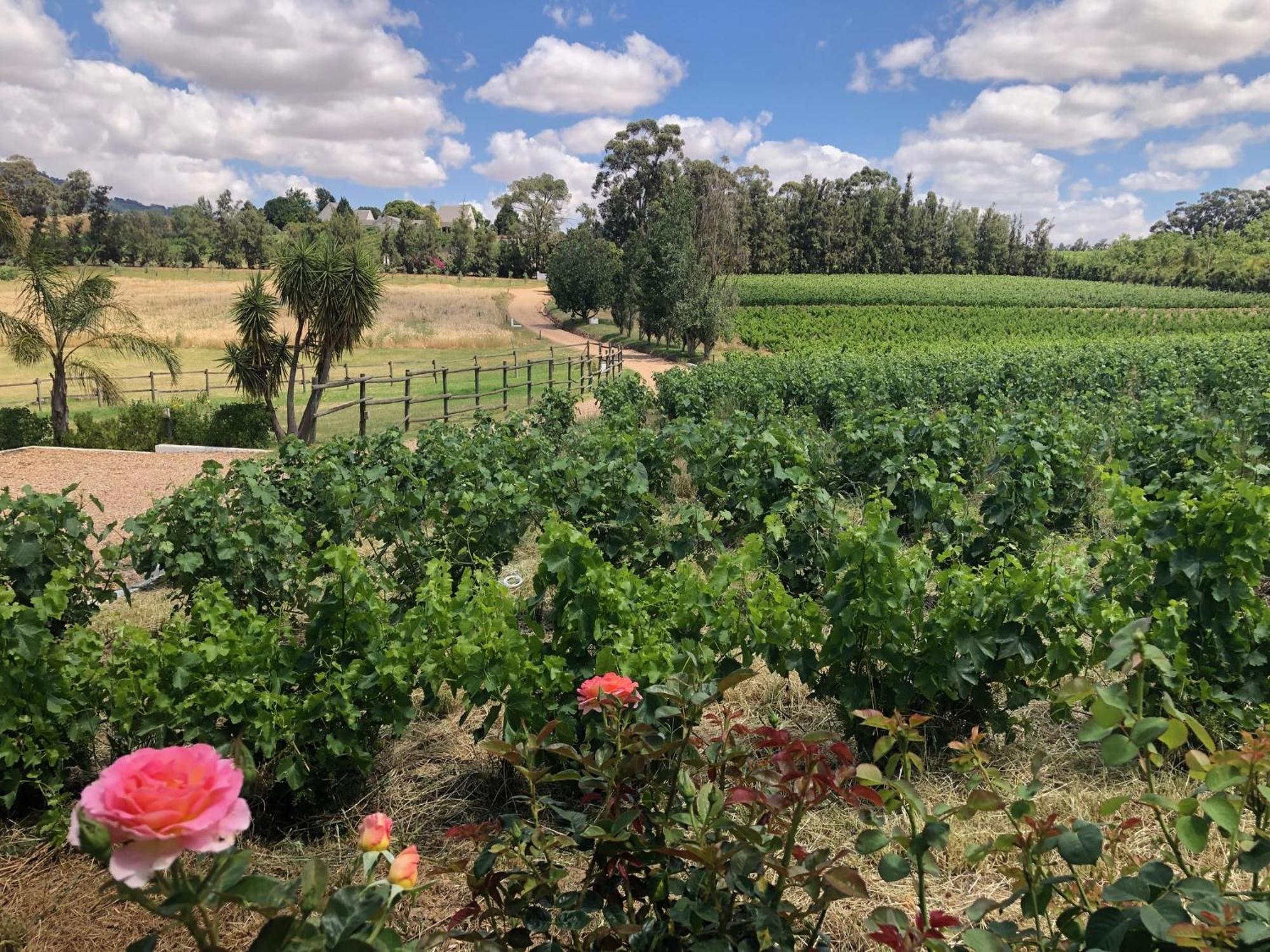 Hotel Tempel Wines Paarl Zewnętrze zdjęcie