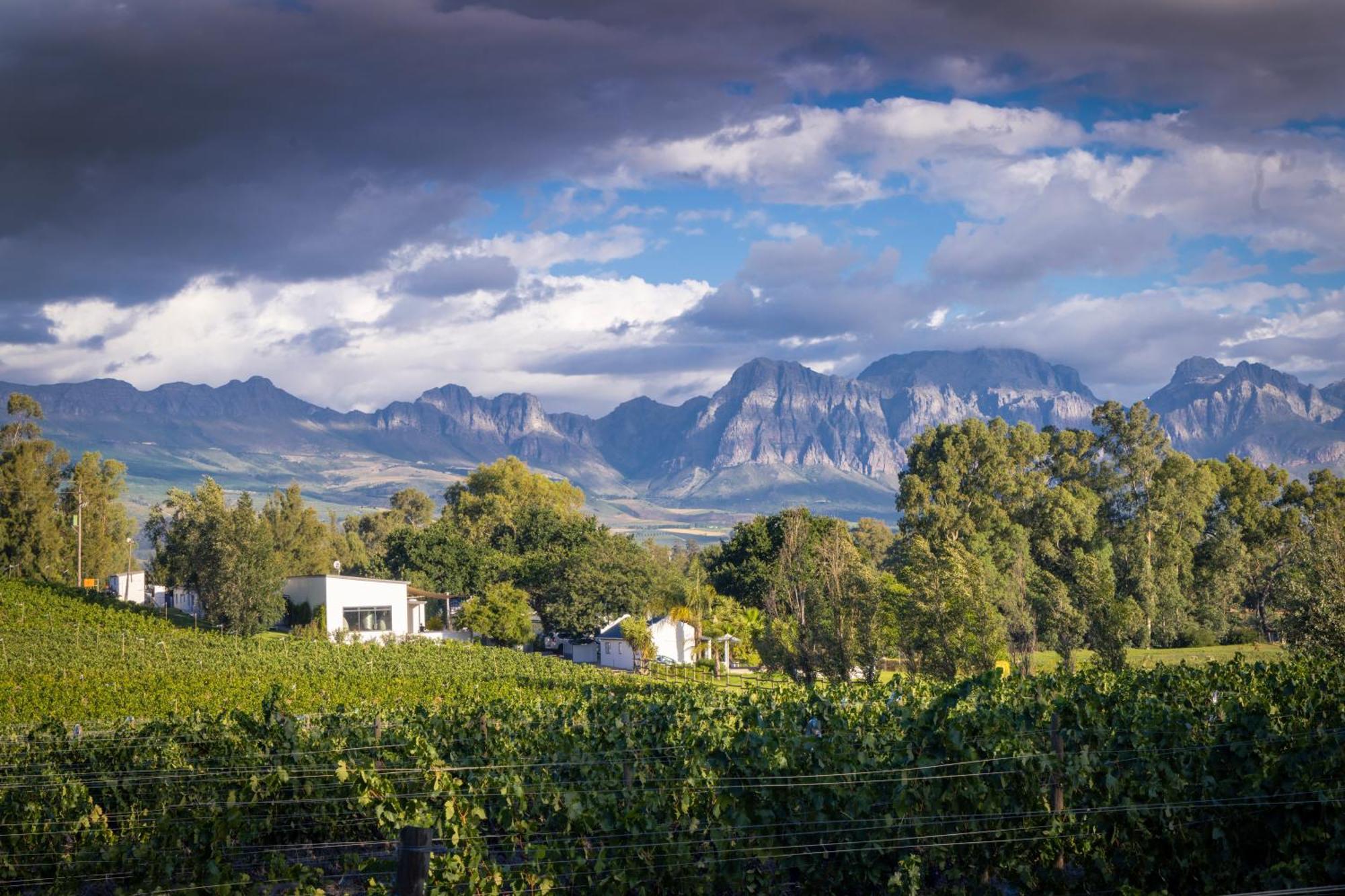 Hotel Tempel Wines Paarl Zewnętrze zdjęcie