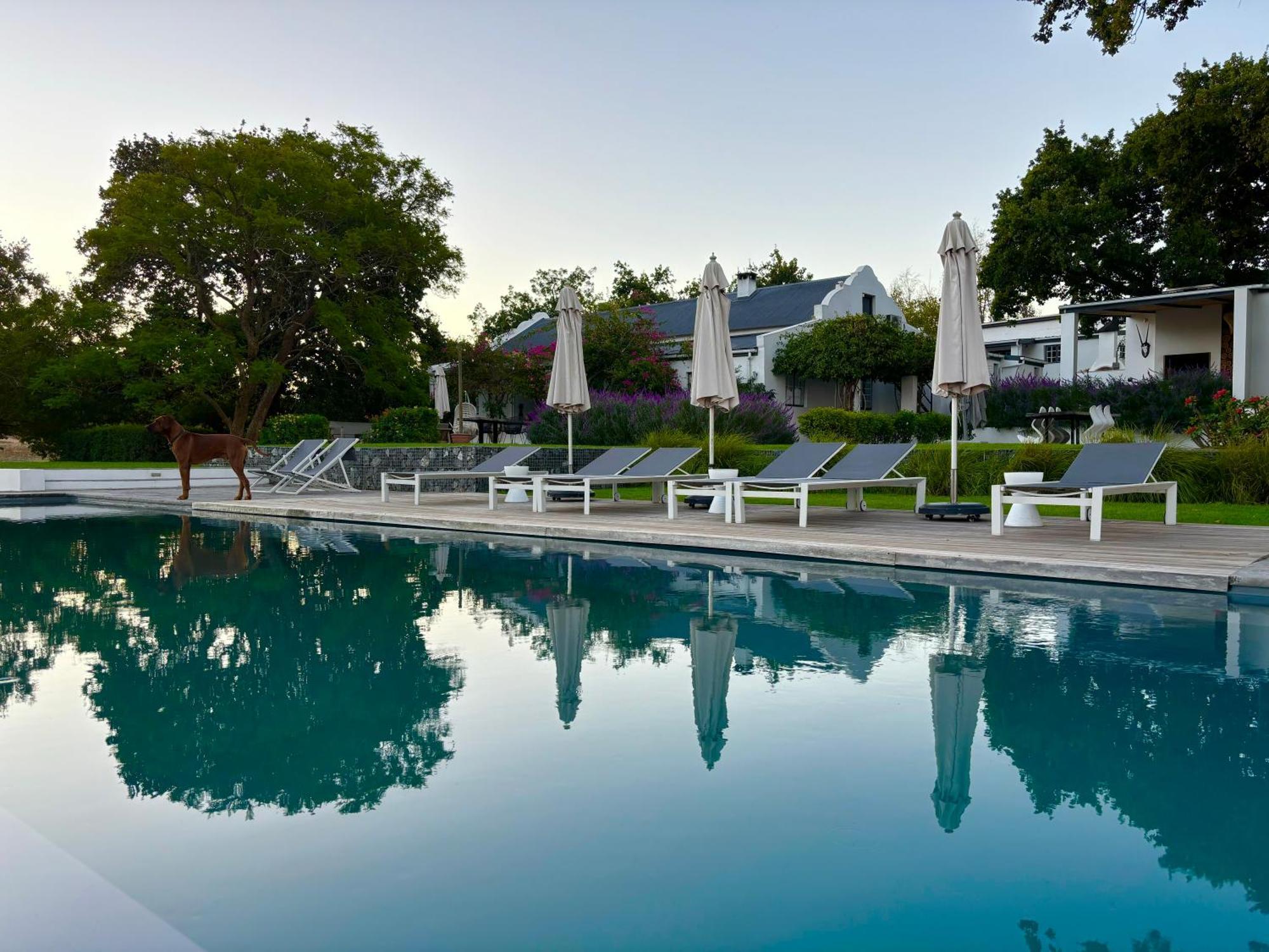 Hotel Tempel Wines Paarl Zewnętrze zdjęcie