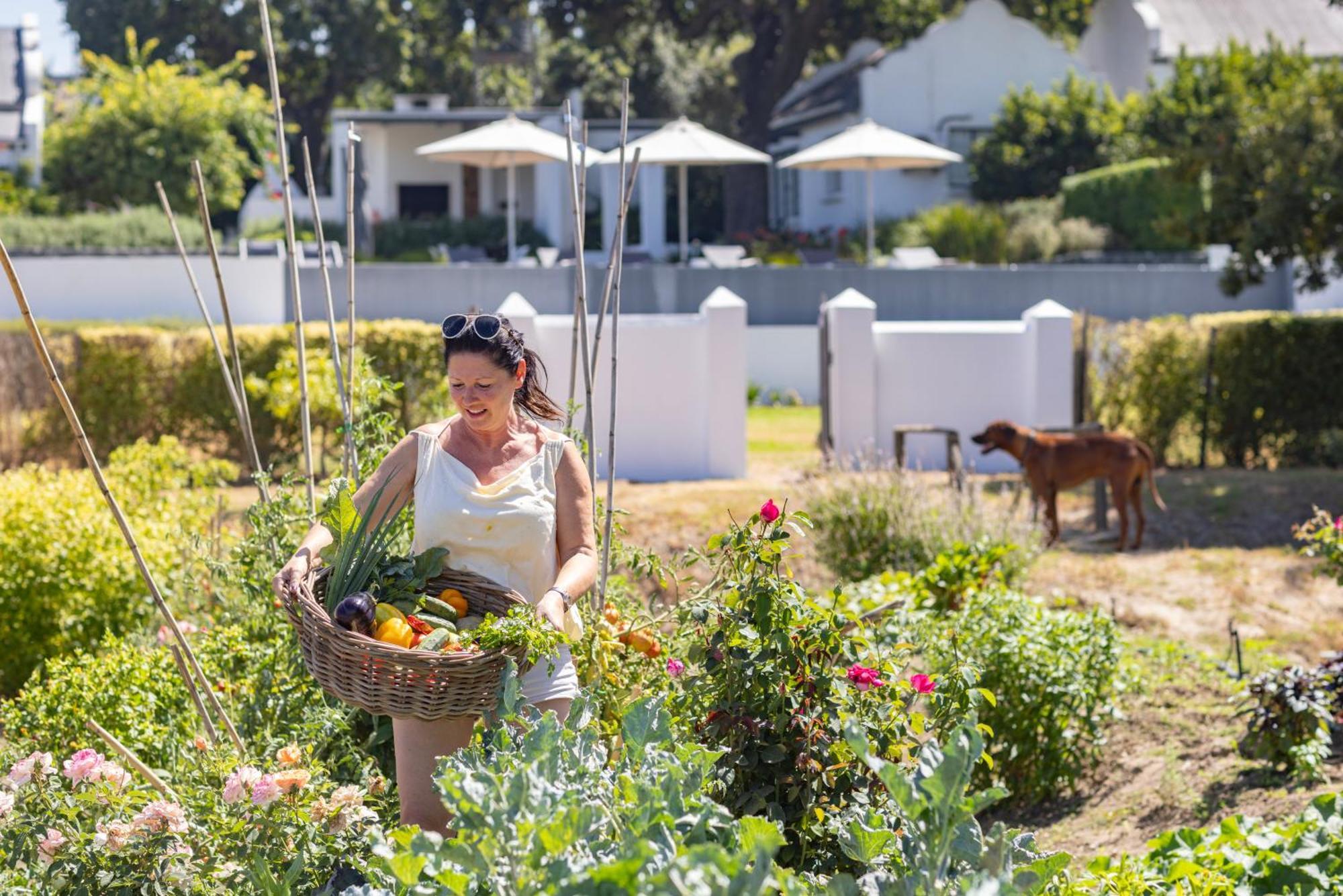 Hotel Tempel Wines Paarl Zewnętrze zdjęcie