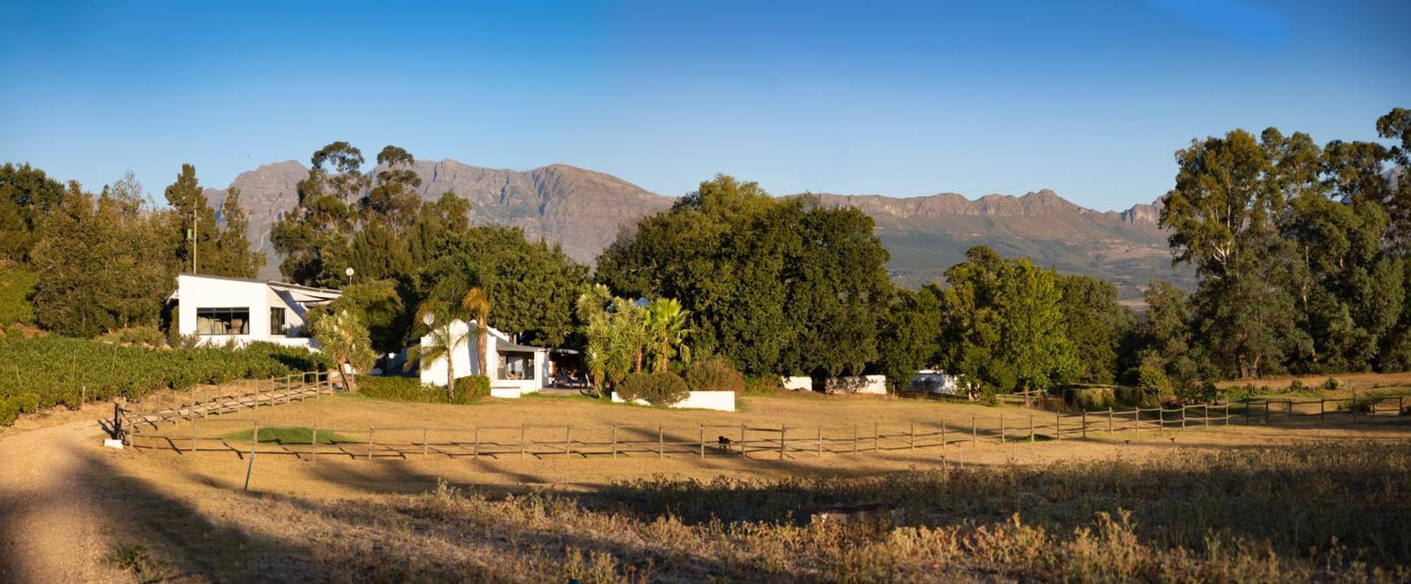 Hotel Tempel Wines Paarl Zewnętrze zdjęcie