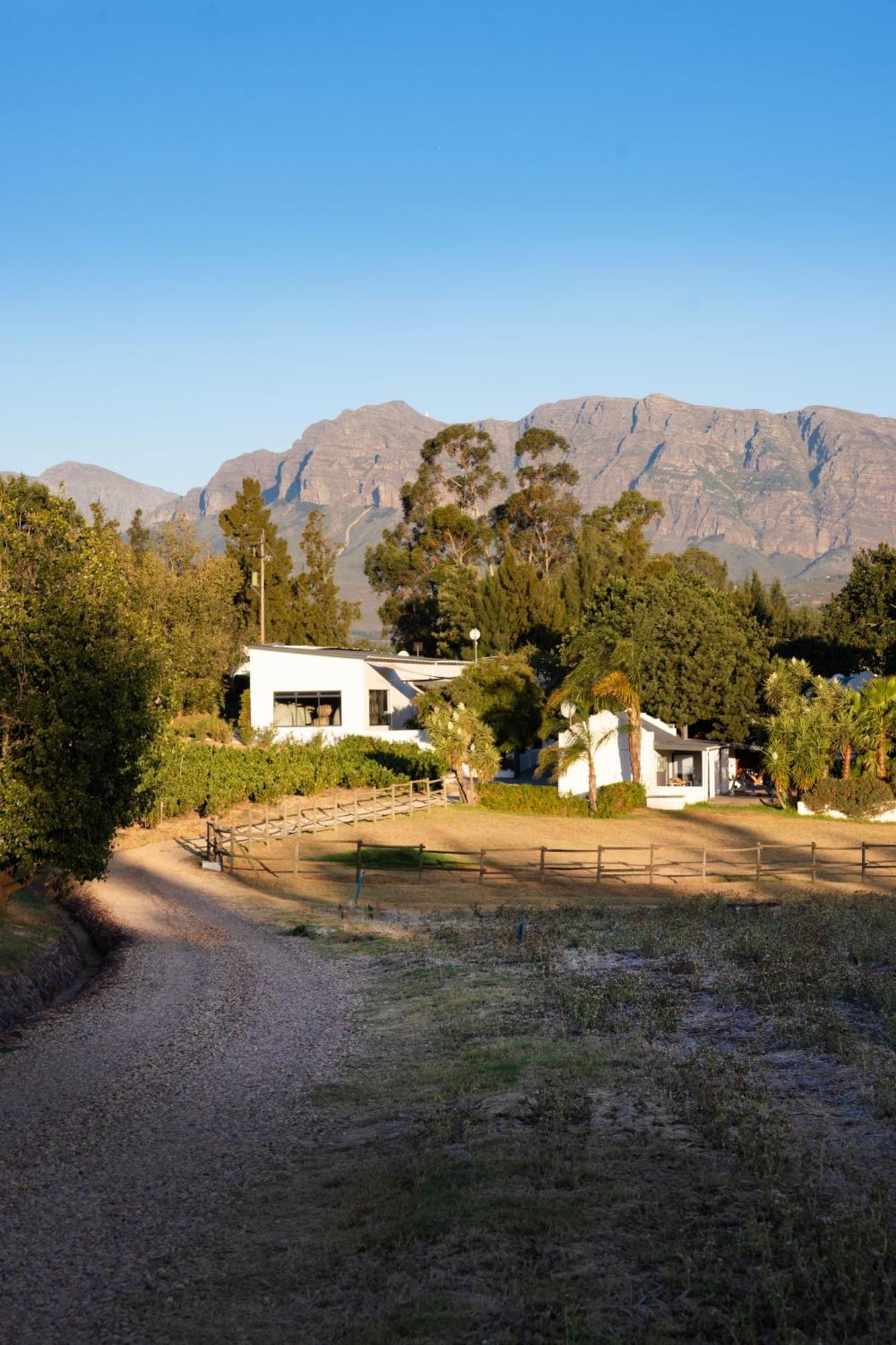 Hotel Tempel Wines Paarl Zewnętrze zdjęcie