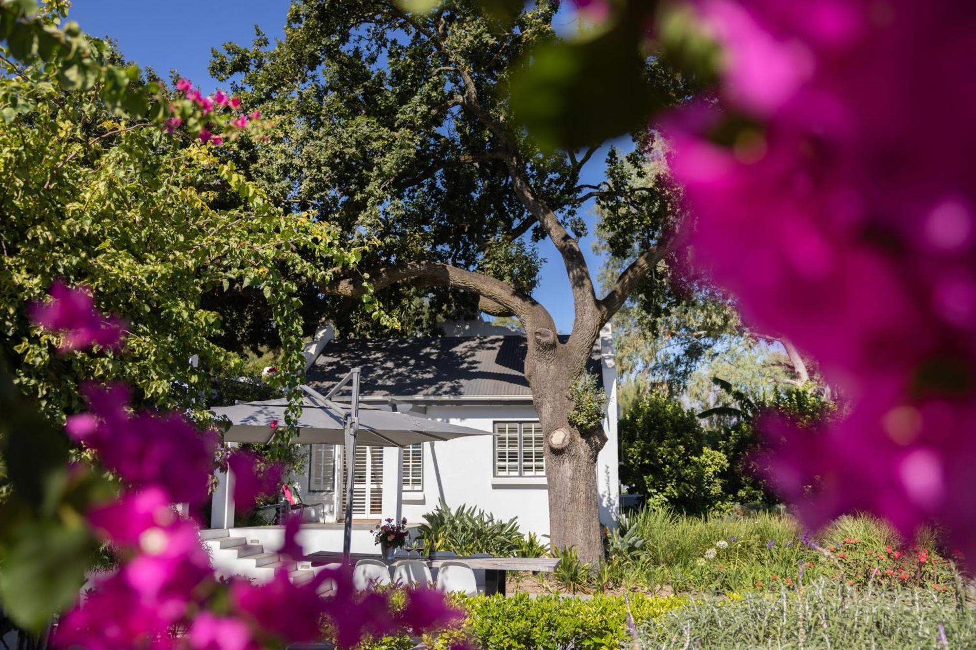 Hotel Tempel Wines Paarl Zewnętrze zdjęcie